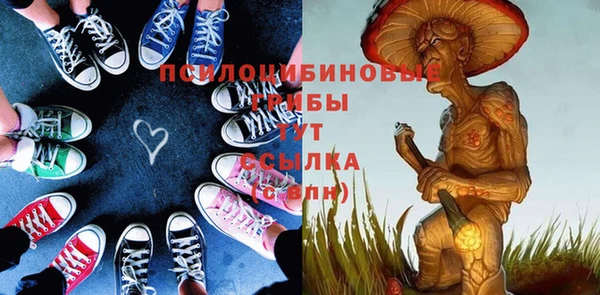 спиды Богданович