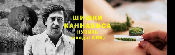 спиды Богданович