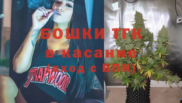 spice Богородск