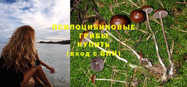 бутик Богородицк