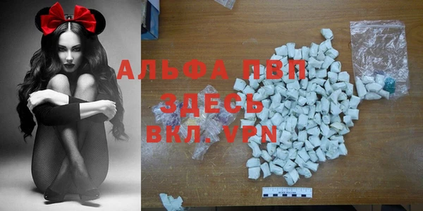 спиды Богданович