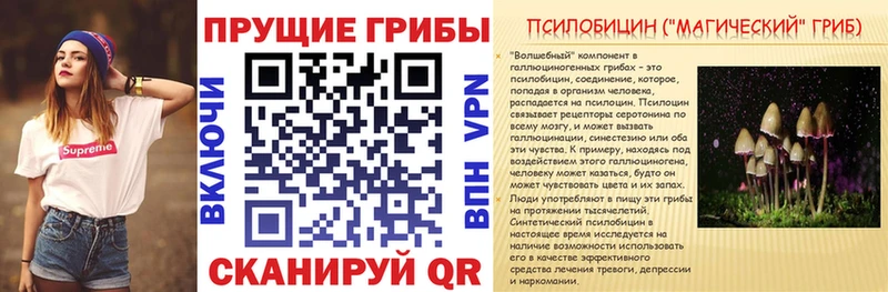 Псилоцибиновые грибы Psilocybine cubensis Тбилисская
